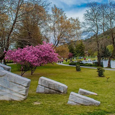 Апартаменты Art Park Studio *